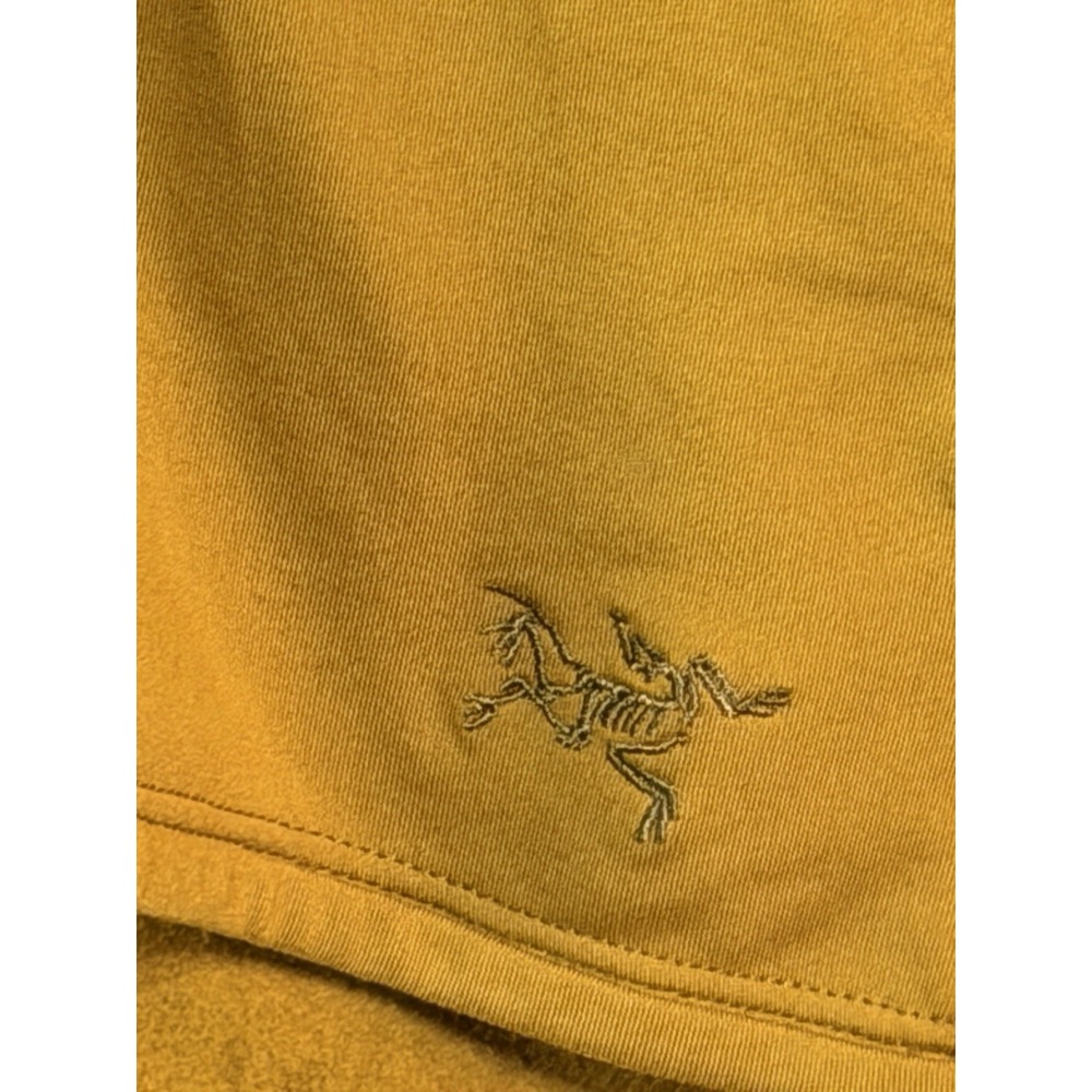 Arc'teryx Dallen Fleece Hoodie Men's M Yellow Full Zip Jacket Preppy Gorpcore - Picture 2 of 12
